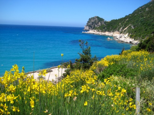 Grand Mediterraneo